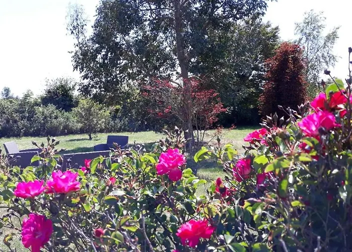 Aux Marais Bed & Breakfast